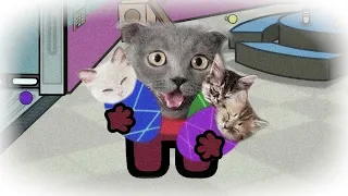 Mini Crew Baby Cats and Huggy Wuggy Cat. Story #5. Pushcats cat Cartoon Animation