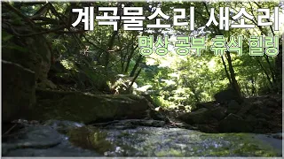 계곡물소리 새소리 - 자연의소리 영상 , 명상, 공부, 휴식, 수면 효과음 백색소음