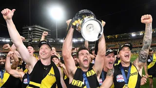 Richmond Injuries that hurt Tigers supporters (Get lucky)