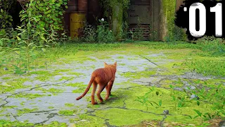 STRAY - Part 1 - A New Cat Adventure