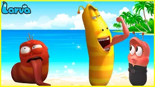 🐛🐛 LARVA SEASON 2 NEW VERSION 🍍🍍 | CARTOONS FOR EVERYONE | TOP 50 EPISODE |ANIMATION FOR ALL AGE