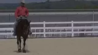 How do reiners ( or any other discipline ) get their horses heads down