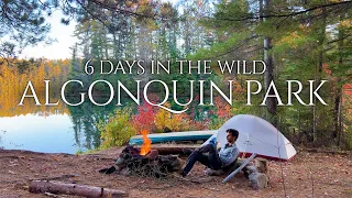 Solo Fall Canoe Trip Through The Algonquin Wilderness
