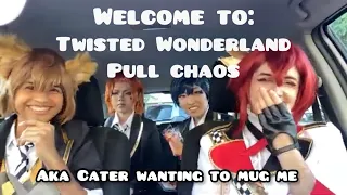 Twisted Wonderland Cosplay Pull Chaos