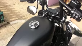 2014  Harley-Davidson Sportster Iron 883