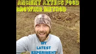 Chinampa, Ancient Aztec Food Growing Method (my new experiment)