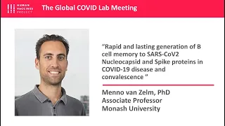 Dr. Menno van Zelm: B cell memory to SARS-CoV2 Nucleocapsid and Spike proteins in COVID-19 disease