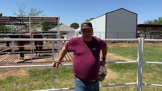 Round Pen, Stalls, And Continuous Fence Review By Bob - Seven Peaks Fence And Barn