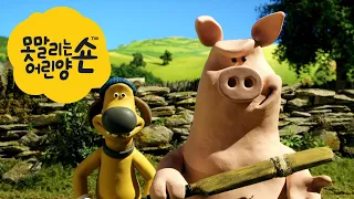 숨막히는 경기 [Shaun the Sheep Korea S3 | Full Episode]