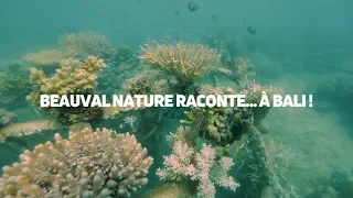 Beauval Nature raconte... à Bali !