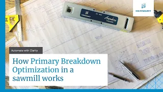 A Quick Look at How Primary Breakdown Optimization Works in a Sawmill