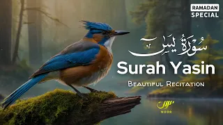 Ramadan Special | Surah Yaseen (سورة يس) | Soul Touching Recitation | NOOR