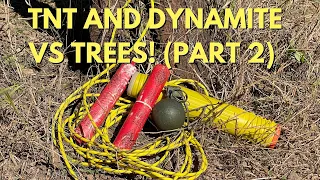 TNT, Dynamite, and other High Explosives VS Trees!  (Part 2) #topshottreeservice