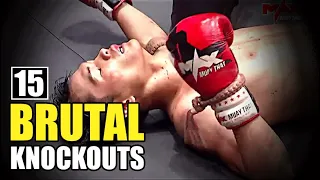 15 Most BRUTAL Knockouts in MMA 2024