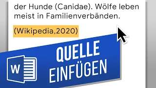 Word: Quelle einfügen | Quellenangaben im Text – in Word zitieren