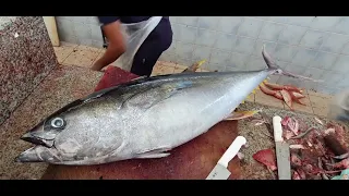 Fish Cutting|| Meat for Tuna Fish|| Tuna Fish Cutting Skills