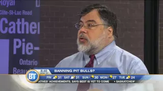 Should pit bulls be banned? The BT panel debates