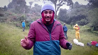 Cómo se extrae MIEL SILVESTRE en una finca - La Granja, Santander #Abejas