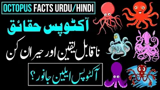 Amazing Facts About Octopus Information in Hindi And Urdu | Shery YT