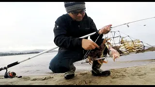 Best Trap for Catching Crabs from Shore - Oregon Oregon