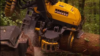 Die Holz Ernter in Sekunden fallen die Bäume Reportage