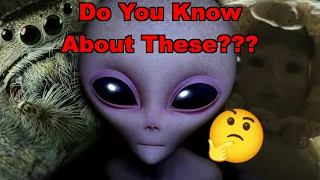 Creepy And Strange Facts You Didn't Know - #1
