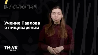 Учение И.П. Павлова о пищеварении | Биология