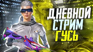 СЛОМАЕМ СЕРВЕРА ЗА 3 ЧАСА | IPAD PRO 90 ФПС | РОЗЫГРЫШ РП | ВЕБКА | СТРИМ ПАБГ | STREAM PUBG