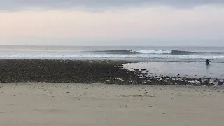 - Malibu 2nd/3rd Points 1 [SurfSpot Video]