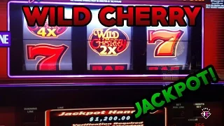 Wild Cherry Slot Handpay