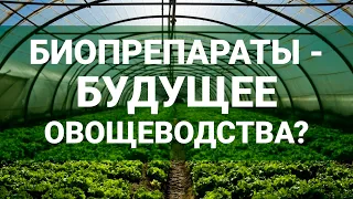 Биозащита овощей в условиях закрытого и открытого грунта от НВП "БашИнком"