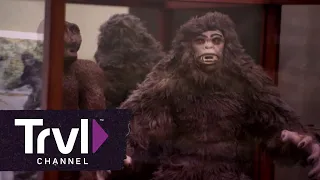 Cryptozoology Museum | Travel Channel