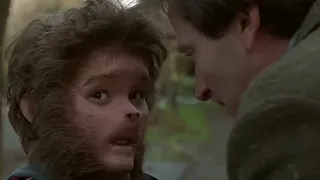 Alan talks with Peter after he turns into a monkey (Jumanji 1995)