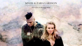 Official Instrumental: Zara Larsson & MNEK - Never Forget You [Full]