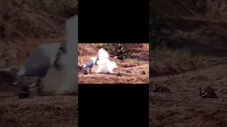 Гидроудар разрушает сейф. Water hammer destroys strongbox in slow-mo.