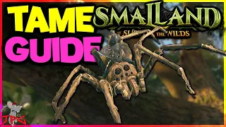 SMALLAND How To Tame A Wolf Spider - ALBINO BOSS Fight!