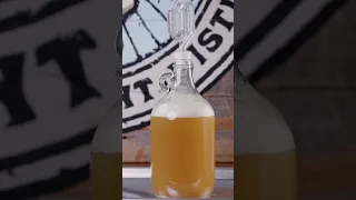 How Long Does It Take To Make Beer