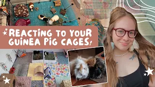 Reacting to YOUR Guinea Pig Cages!!