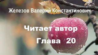 Валерий Железов. Автор читает опубликованные ранее статьи. Глава 20. Семинар - 2 у В.К.Железова