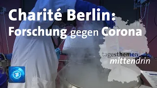 Charité Berlin: Forschung gegen Corona | tagesthemen mittendrin