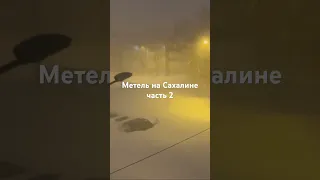 Метель на Сахалине продолжение