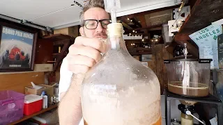 I tried to capture wild yeast again...