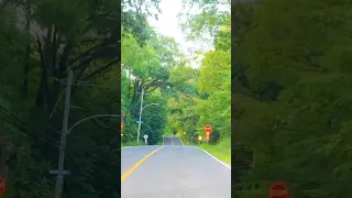 Countryside drive in Canada 🇨🇦 #shorts