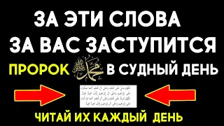 ЭТИ СЛОВА ДАДУТ ВАМ ЗАЩИТУ ПРОРОКА | САЛАВАТ НА ПРОРОКА МУХАММАДА  | САЛАВАТ | ХАДИСЫ ПРОРОКА ﷺ