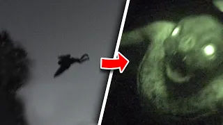 10 Terrifying Creatures Caught on Camera