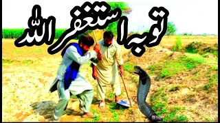 A Man Killed A Snake || The Snke Followed Him Then The Jogis Came And Rescued Him ||