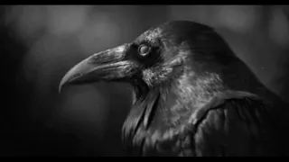 ASMR-Halloween | Эдгар Аллан По. Ворон (перевод М.А. Зенкевич) | The Raven (ASMR)