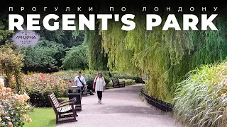 Прогулка по Лондону: Regent’s Park