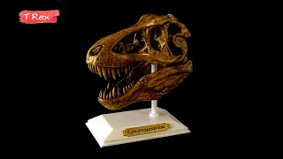 How to 3d print: Tyrannosaurus Rex, a fun skull re-creation of this famous giant.