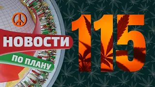 Каннабиноиды против рака. Twitter разрешил рекламу травы. Снуп Догг и наука. Новости по плану №115